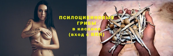мяу мяу мука Беломорск